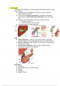 NUR 6111 Adv Nursing Practice 1 NUR  6111 Week 2 GI Disorders