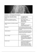 Flashcards: Module 3 - Exchange and transport