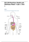 SCI 228 Nutrition Health and Wellness Week 1 iLab 1, Part 1