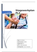 Stagewerkplan Pl3