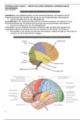 Samenvatting blok C casus 1 hoorcollege 1 - Grote en kleine hersenen, hersenstam en ruggenmerg 