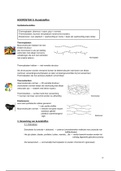 Samenvatting materialenleer (hoofdstuk kunststoffen)