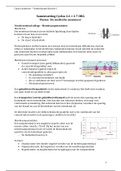 Samenvatting ORG Cyclus 2.6 + 2.7 (THK Ba2)