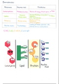 Biomolecules and The Cell: Structure and Function