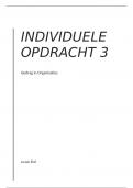 Individuele opdracht 3 - motivatie en big five