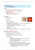 Samenvatting zuurvaste bacteriën (mycobacterium)