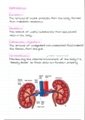 The Excretory System