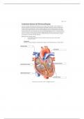 BIO 202 RS Conduction Electrocardiogram practice material 