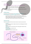 Human Reproduction: Gametogenesis, The Menstrual Cycle, Stages of Pregnancy, Embryo Development, Birth(Parturition) and Contraception 