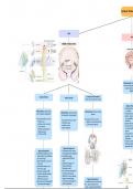 Ultimate Stroke Summary - Comprehensive and High-Yield Notes