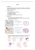 Parasitologia Parte 1