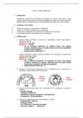 Ancylostomosis y Strongyloidosis