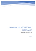 Wijkanalyse Vechtzoom Klopvaart IT-2 HBO-V Verpleegkunde. Cijfer 8.6! (2021)