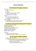 RNSG 1538: ATI Concept Base 3 Summary.