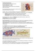 Samenvatting Biologie Nectar vwo 5 H9-12