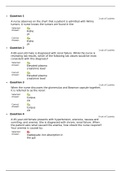 NUR 6501 Advanced Patho Quiz 10 Answers