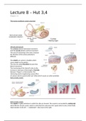 Lecture 3&4 Hut