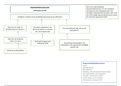 Reactie op  Zienswijze (inclusie stakeholderanalyse en argumentatiestructuur)