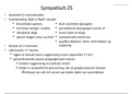 neurokine 1 aanvullende powerpoints/ dia's handboek en samenvatting syllabus