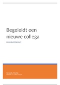 Examen verslag begeleidt een nieuwe collega 