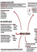 AQA a level economics market failure and structures notes 