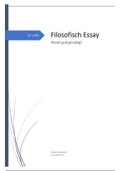 Filosofische Essay