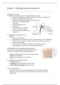 Volledige samenvatting Metabolic Aspects of Nutrition