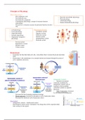 Human Physiology