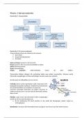 Samenvatting tentamenstof Biologische Grondslagen; cognitie