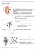 samenvatting nierziekten 