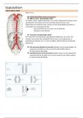 samenvatting vaatziekten 