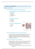 19 Samenvatting Anatomie en fysiologie: keypoints hoofdstuk 19: VOORTPLANTINGSSTELSEL