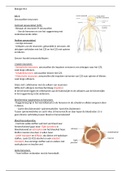 Samenvatting  VWO 5 biologie nectar H13 zenuwstelsel 