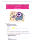 Resumen Sistema de endomembrana