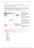 Samenvatting  Organisatie van zorg en maatschappij