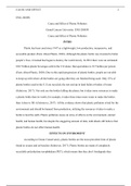 Plastic PO Cause Affect MS1  1   2 .docx   ENG-206HN  Cause and Effect of Plastic Pollution   Grand Canyon University: ENG-206HN  Cause and Effect of Plastic Pollution   INTRO  Plastic has been used since 1947 as a lightweight, low production, inexpensive