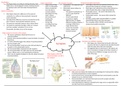 Introduction to Genetics