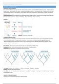 Summary Vertebrate and structures lectures