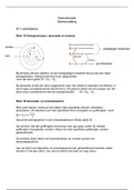 Samenvatting Natuurkunde Hoofdstuk 11 Astrofysica