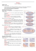 Strategy - Summary Lectures