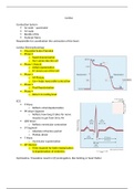 Cardiac Drugs Pharmacology