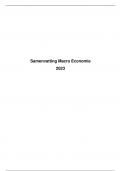 Samenvatting Macro-Economie 2024 (17/20)