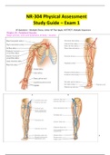 NR 304 Exam 1 Study Guide / NR304 Exam 1 Study Guide (Latest,2020/2021): Chamberlain College of Nursing