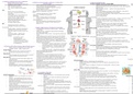 Year 2/A2 AQA A-Level Psychology Exam Revision Notes, Biopsychology option 