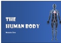 Human Anatomy and Physiology (The Human Body)