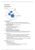 Uitgebreide samenvatting De Beleidscyclus I agenda- en besluitvorming