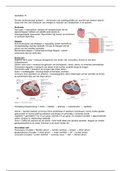 Hoofdstuk 15 - Exercise physiology