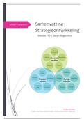 Samenvatting strategieontwikkeling