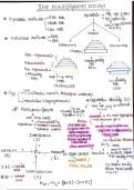 BEST HANDWRITTEN NOTEST FOR NEET 2025 ECOLOGY GRAPHS AND IMPORTANT POINTS ONLY 