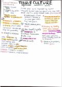 NEET 2025 BEST HANDWRITTEN NOTES FOR TISSUE CULTURE TOPIC FULLY NCERT BASED